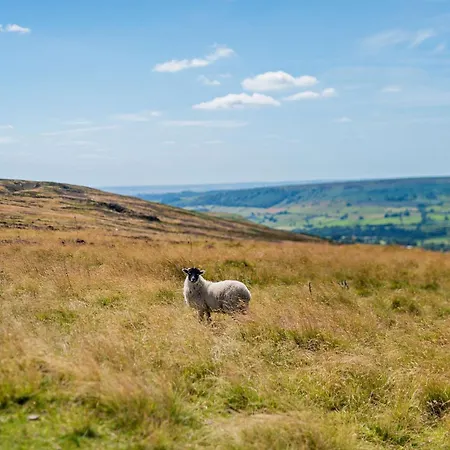 Dom wakacyjny 4 Bed In North York Moors 82262 Danby