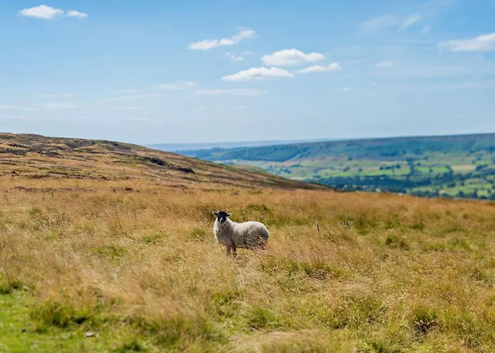 Casa vacanze 4 Bed In Danby 82262 Danby