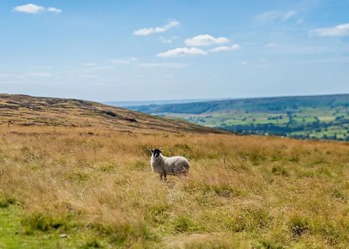 4 Bed In Danby 82262